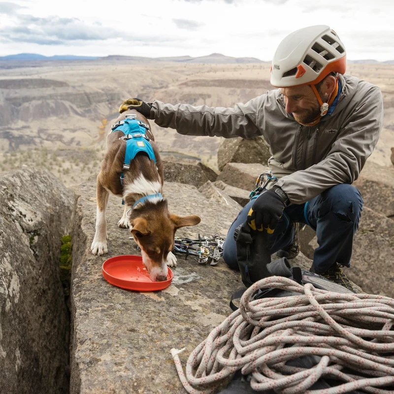 Ruffwear Camp Flyer – Premium Frisbee für Hunde, schwimmfähig, weich & robust für Apportier-Abenteuer am Wasser & Land