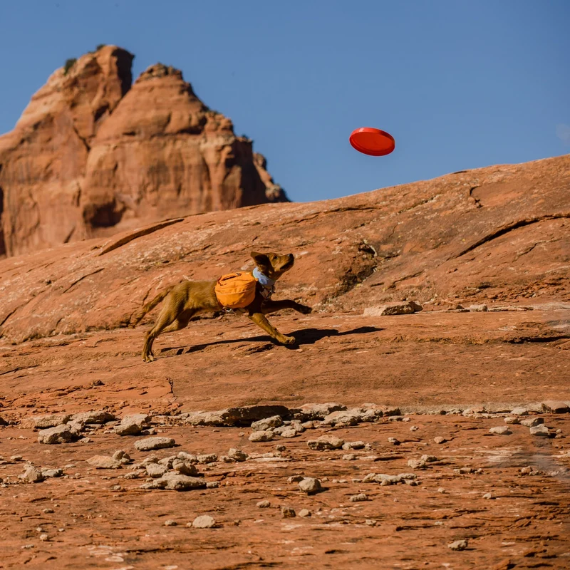 Ruffwear Camp Flyer – Premium Frisbee für Hunde, schwimmfähig, weich & robust für Apportier-Abenteuer am Wasser & Land