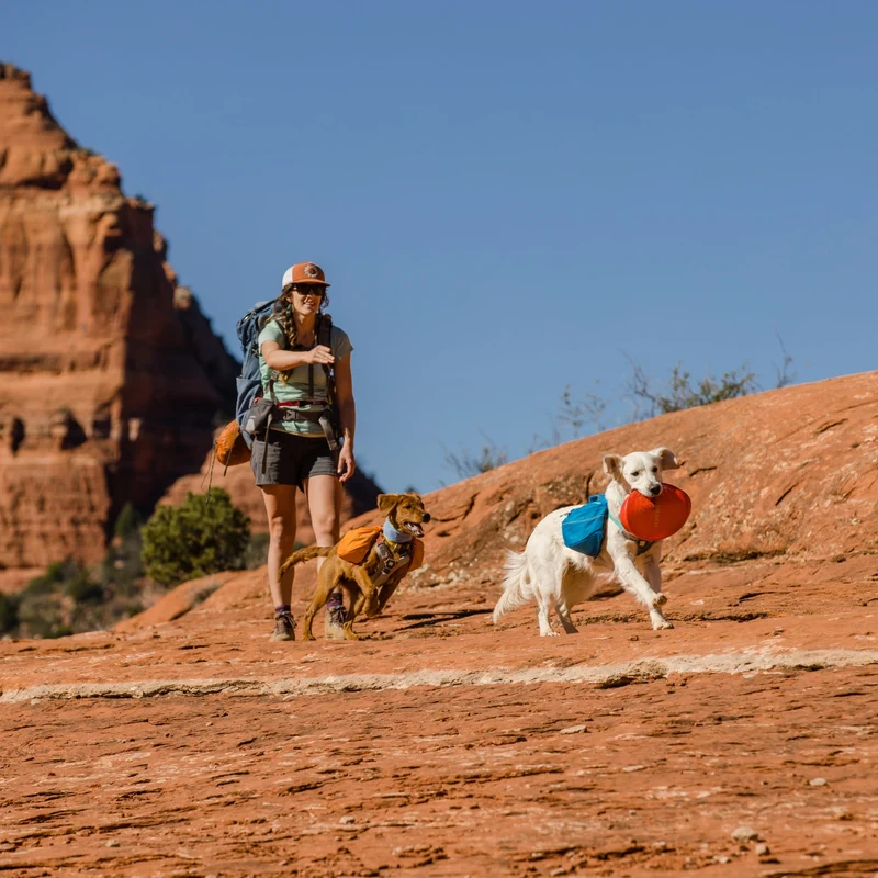 Ruffwear Camp Flyer – Premium Frisbee für Hunde, schwimmfähig, weich & robust für Apportier-Abenteuer am Wasser & Land