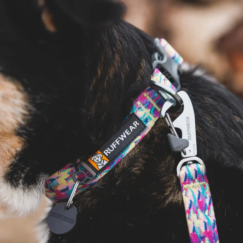 Ruffwear Front Range Collar – Verstellbares Premium-Hundehalsband für aktive Hunde mit gepolstertem Komfort und robuster Verarbeitung