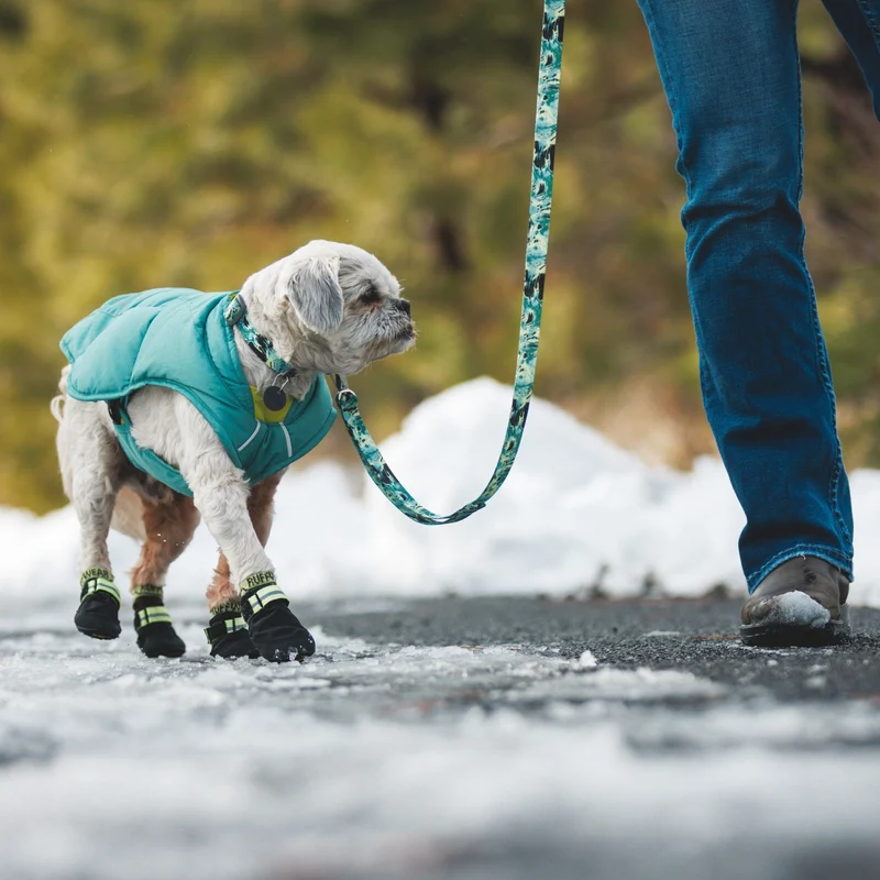 Ruffwear Front Range Collar – Verstellbares Premium-Hundehalsband für aktive Hunde mit gepolstertem Komfort und robuster Verarbeitung