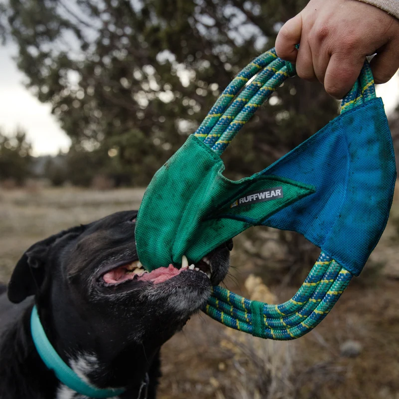Ruffwear Pacific Ring – Schwimmfähiges Apportierspielzeug für Wasserspaß & Zahnschonendes Training