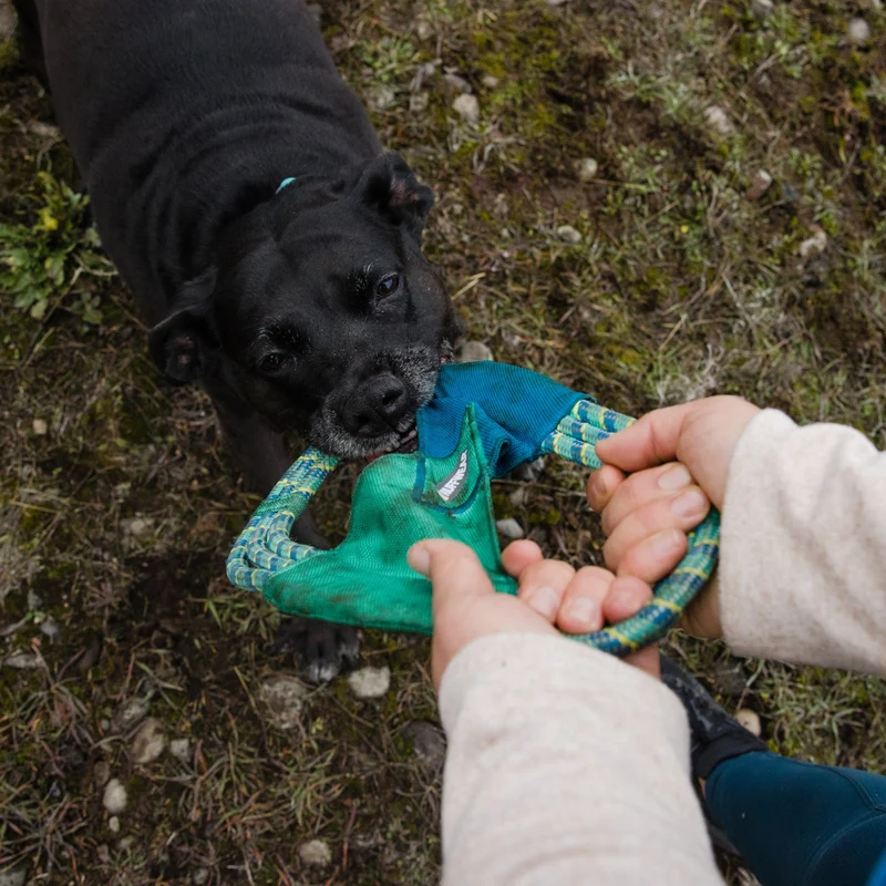 Ruffwear Pacific Ring – Schwimmfähiges Apportierspielzeug für Wasserspaß & Zahnschonendes Training