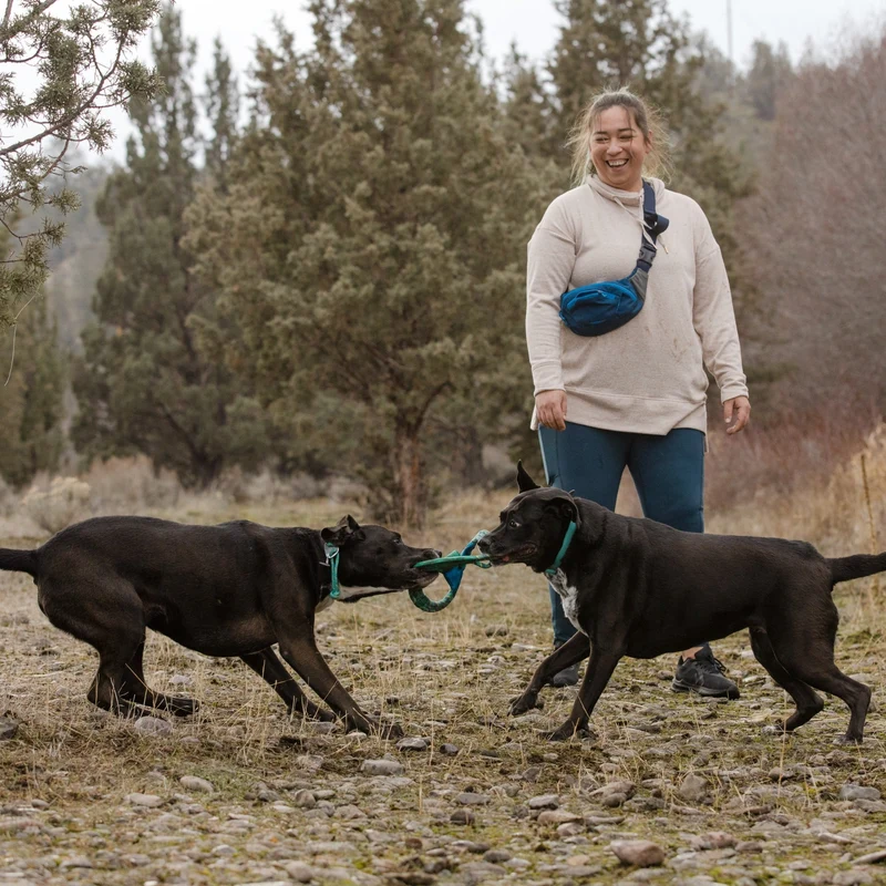 Ruffwear Pacific Ring – Schwimmfähiges Apportierspielzeug für Wasserspaß & Zahnschonendes Training