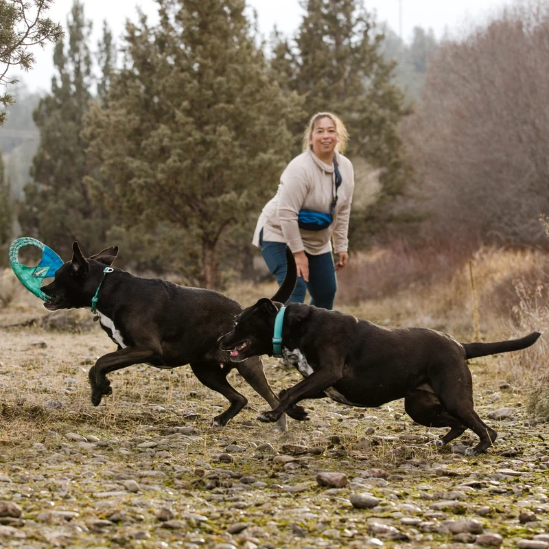 Ruffwear Pacific Ring – Schwimmfähiges Apportierspielzeug für Wasserspaß & Zahnschonendes Training