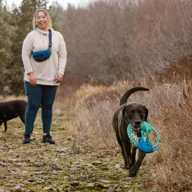 Ruffwear Pacific Ring – Schwimmfähiges Apportierspielzeug für Wasserspaß & Zahnschonendes Training