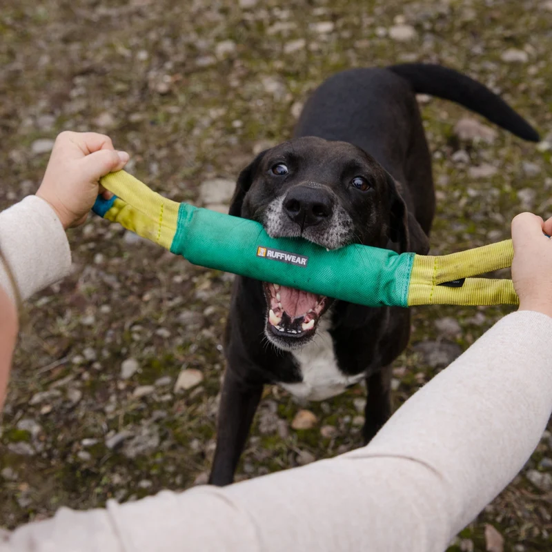 Ruffwear Pacific Loop – Robustes Hundespielzeug für Apportieren, Zerren & Wasserspaß | Langlebiger Wurfring für aktive Hunde