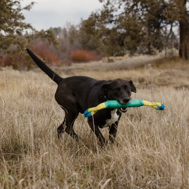 Ruffwear Pacific Loop – Robustes Hundespielzeug für Apportieren, Zerren & Wasserspaß | Langlebiger Wurfring für aktive Hunde