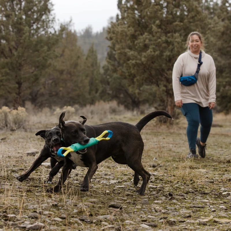 Ruffwear Pacific Loop – Robustes Hundespielzeug für Apportieren, Zerren & Wasserspaß | Langlebiger Wurfring für aktive Hunde
