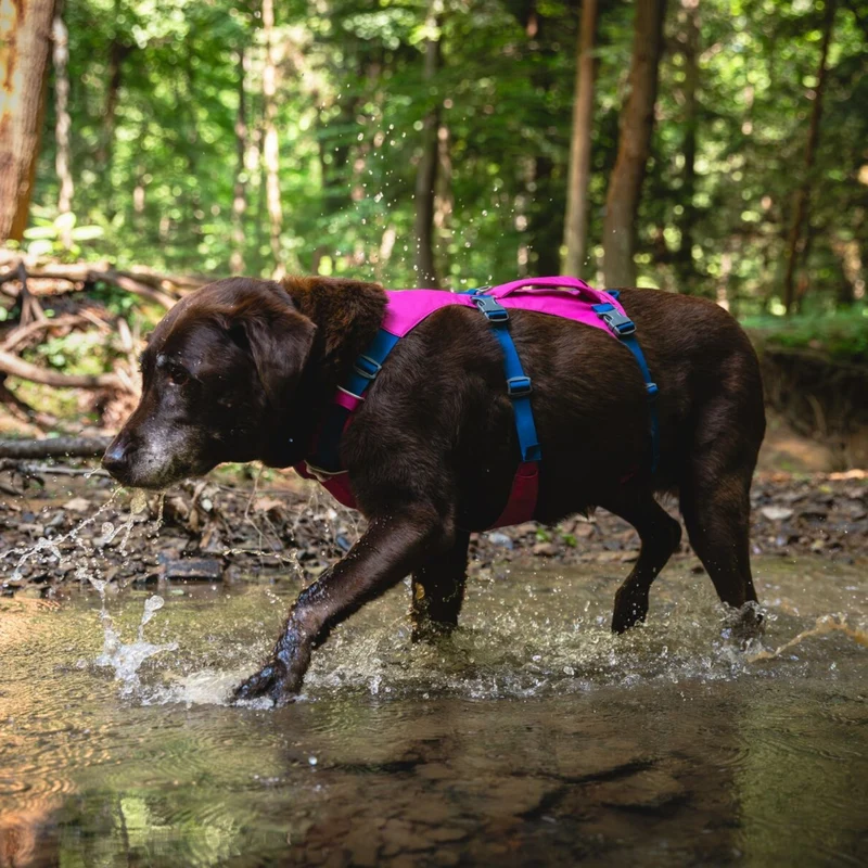 Ruffwear Flagline Harness – 6-fach verstellbares Hundegeschirr für perfekte & ausbruchsichere Passform, verstärkter Kontrollgriff für aktive Hunde