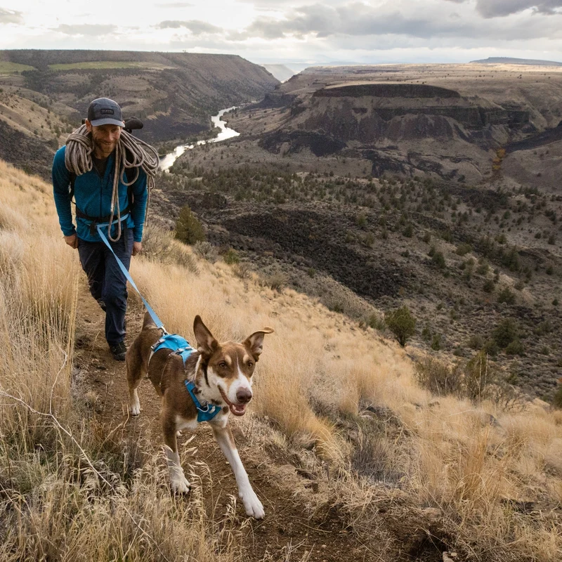 Ruffwear Flagline Harness – 6-fach verstellbares Hundegeschirr für perfekte & ausbruchsichere Passform, verstärkter Kontrollgriff für aktive Hunde