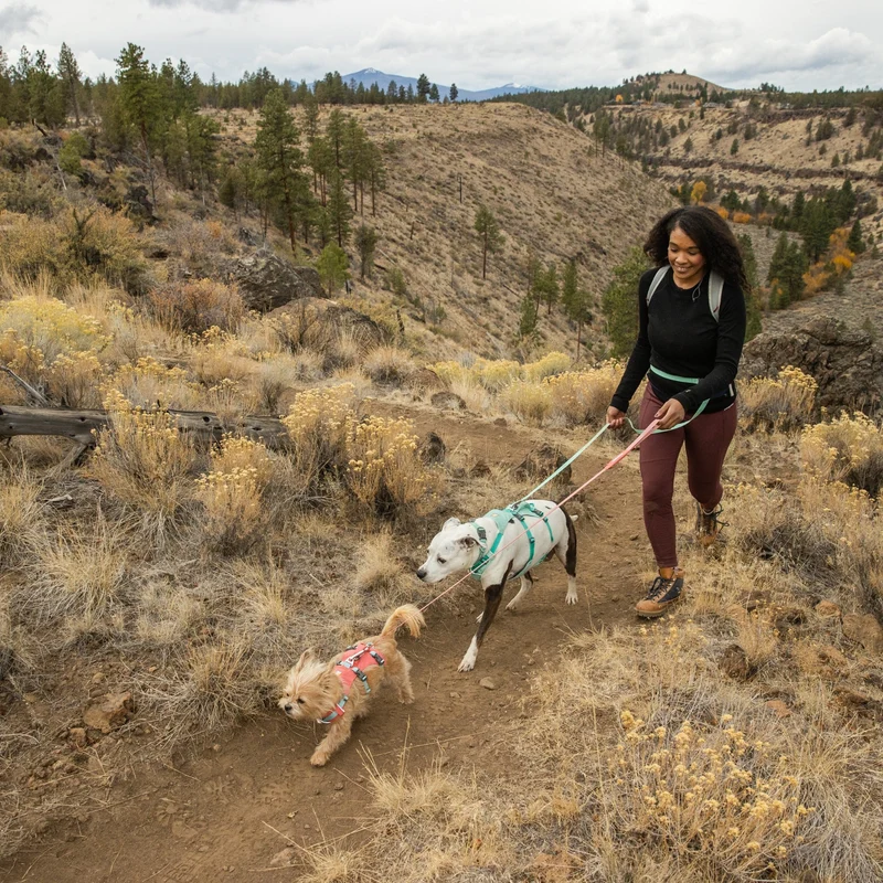 Ruffwear Flagline Harness – 6-fach verstellbares Hundegeschirr für perfekte & ausbruchsichere Passform, verstärkter Kontrollgriff für aktive Hunde
