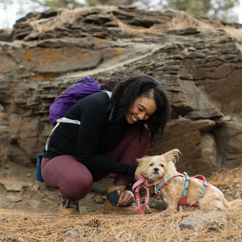 Ruffwear Flagline Harness – 6-fach verstellbares Hundegeschirr für perfekte & ausbruchsichere Passform, verstärkter Kontrollgriff für aktive Hunde