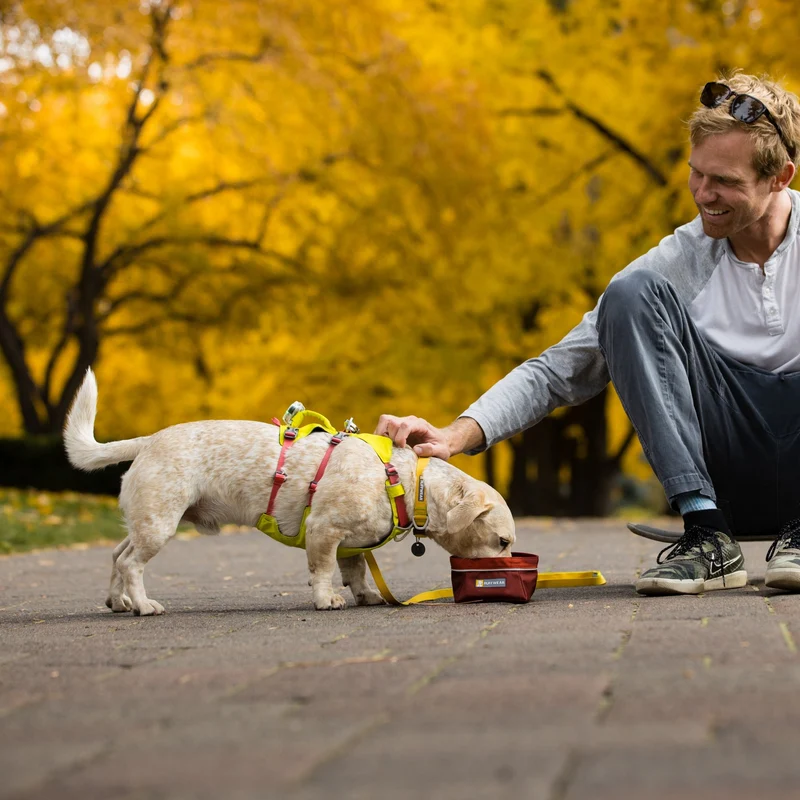 Ruffwear Flagline Harness – 6-fach verstellbares Hundegeschirr für perfekte & ausbruchsichere Passform, verstärkter Kontrollgriff für aktive Hunde