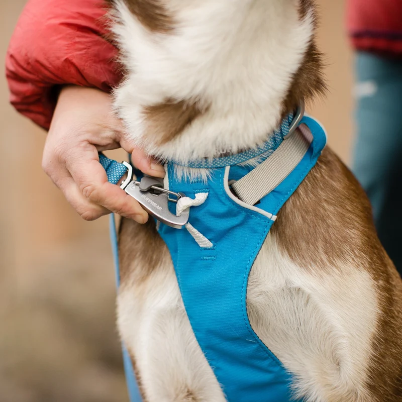 Ruffwear Flagline Harness – 6-fach verstellbares Hundegeschirr für perfekte & ausbruchsichere Passform, verstärkter Kontrollgriff für aktive Hunde