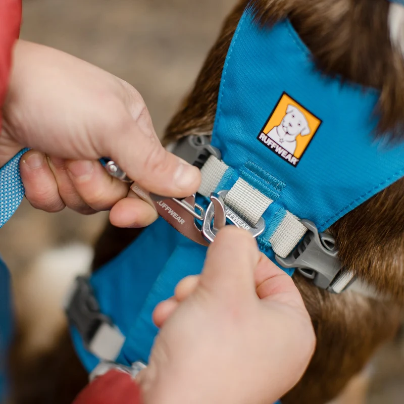 Ruffwear Flagline Harness – 6-fach verstellbares Hundegeschirr für perfekte & ausbruchsichere Passform, verstärkter Kontrollgriff für aktive Hunde