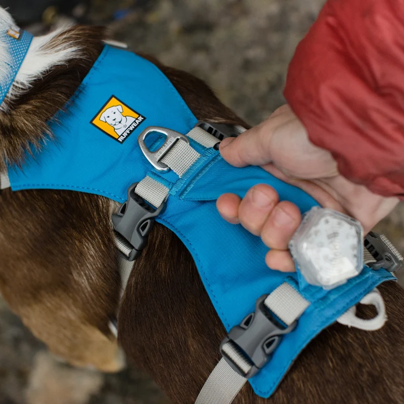 Ruffwear Flagline Harness – 6-fach verstellbares Hundegeschirr für perfekte & ausbruchsichere Passform, verstärkter Kontrollgriff für aktive Hunde