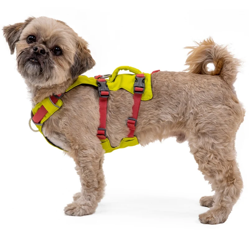 Ruffwear Flagline Harness – 6-fach verstellbares Hundegeschirr für perfekte & ausbruchsichere Passform, verstärkter Kontrollgriff für aktive Hunde