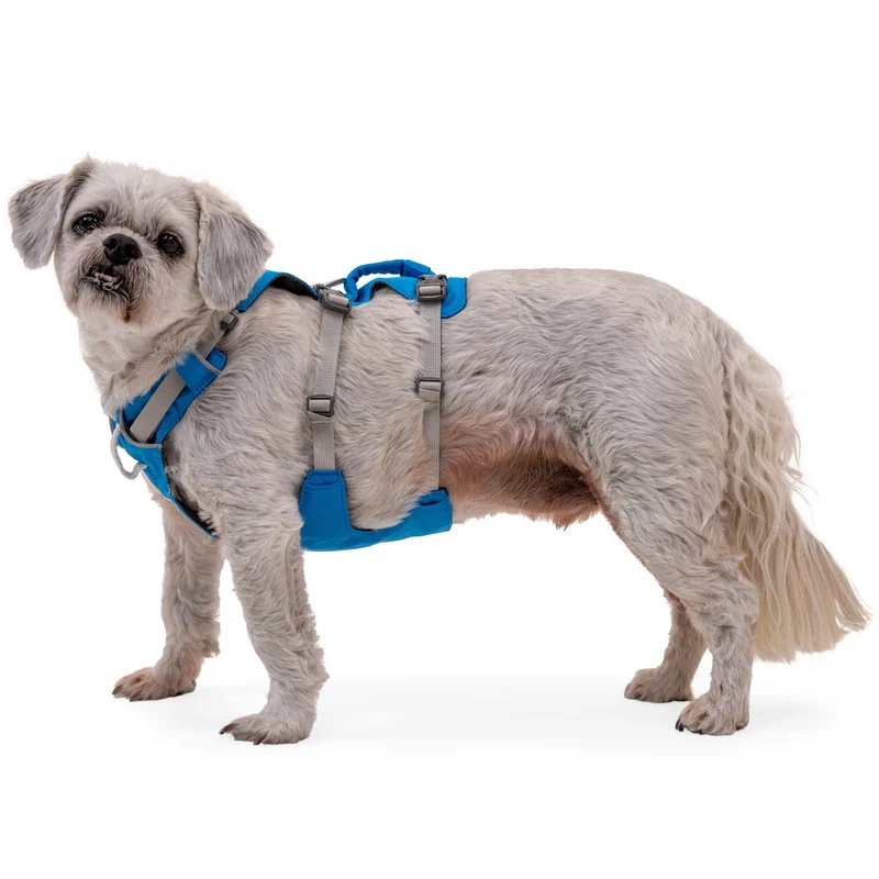 Ruffwear Flagline Harness – 6-fach verstellbares Hundegeschirr für perfekte & ausbruchsichere Passform, verstärkter Kontrollgriff für aktive Hunde