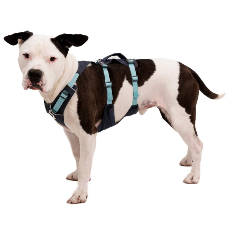 Ruffwear Flagline Harness – 6-fach verstellbares Hundegeschirr für perfekte & ausbruchsichere Passform, verstärkter Kontrollgriff für aktive Hunde