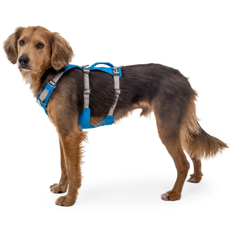 Ruffwear Flagline Harness – 6-fach verstellbares Hundegeschirr für perfekte & ausbruchsichere Passform, verstärkter Kontrollgriff für aktive Hunde