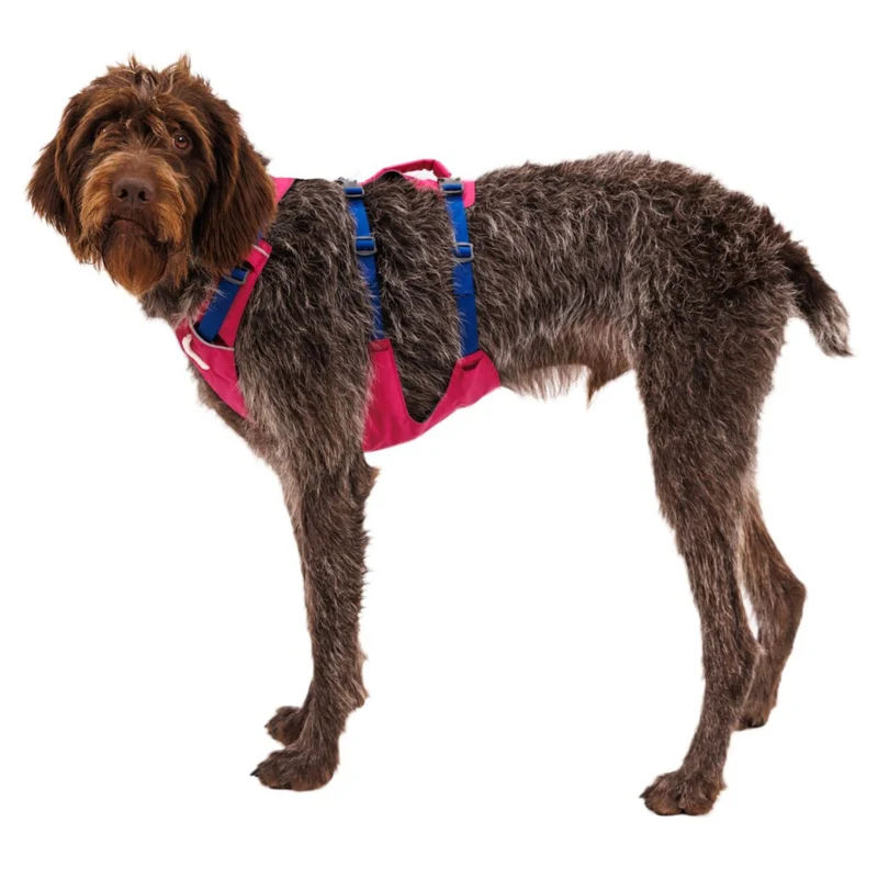 Ruffwear Flagline Harness – 6-fach verstellbares Hundegeschirr für perfekte & ausbruchsichere Passform, verstärkter Kontrollgriff für aktive Hunde