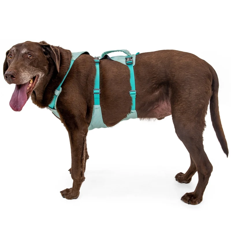 Ruffwear Flagline Harness – 6-fach verstellbares Hundegeschirr für perfekte & ausbruchsichere Passform, verstärkter Kontrollgriff für aktive Hunde