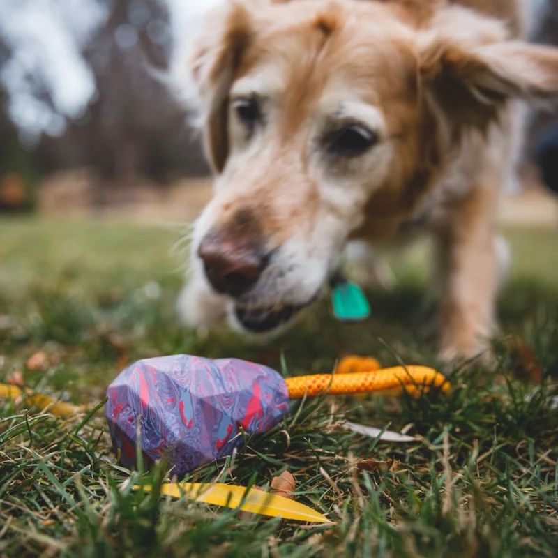 Ruffwear Huck-a-Cone – Robustes Apportierspielzeug für aktive Hunde aus Naturgummi