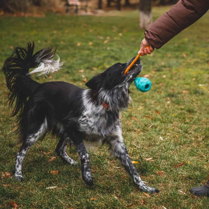 Ruffwear Huck-a-Cone – Robustes Apportierspielzeug für aktive Hunde aus Naturgummi