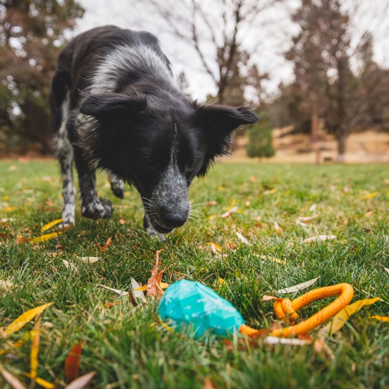 Ruffwear Huck-a-Cone – Robustes Apportierspielzeug für aktive Hunde aus Naturgummi