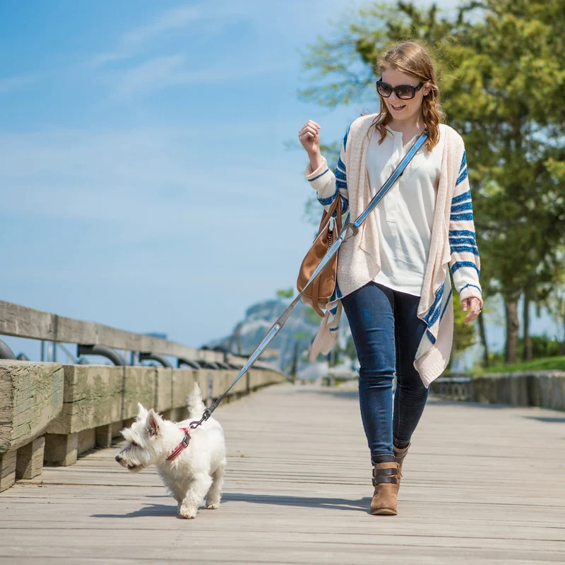 Kurgo Quantum Leash 6-in-1 Hundeleine – Vielseitige Premium-Leine für Training, Jogging & Freihandspaziergänge mit Hund