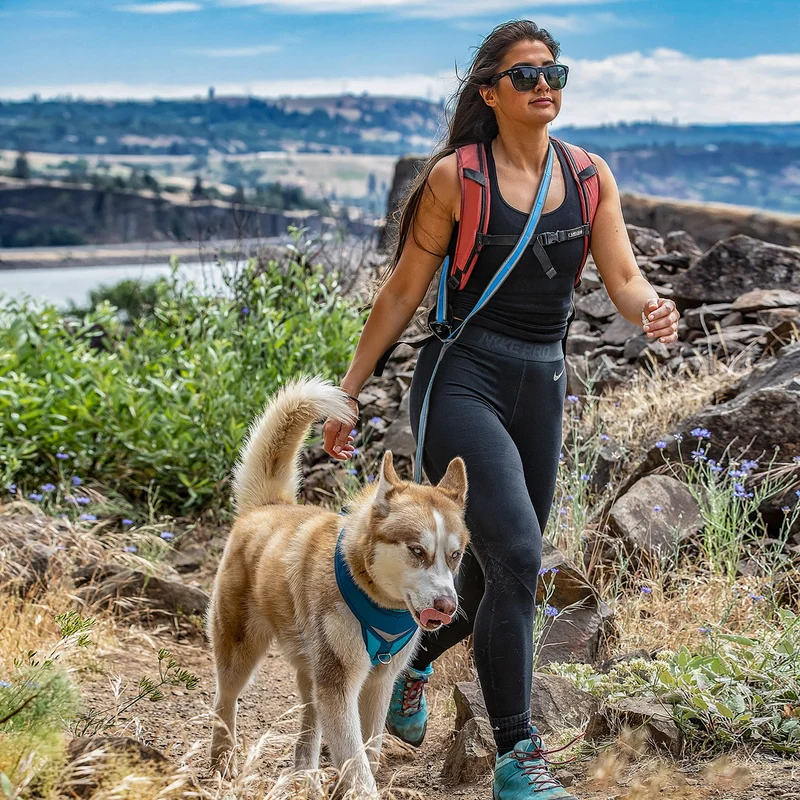 Kurgo Quantum Leash 6-in-1 Hundeleine – Vielseitige Premium-Leine für Training, Jogging & Freihandspaziergänge mit Hund