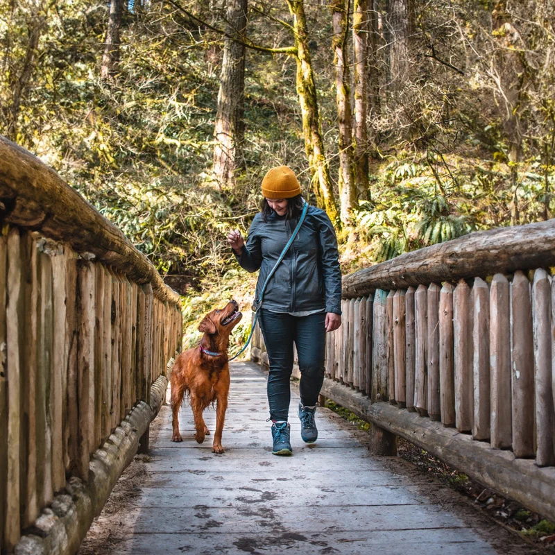 Kurgo Quantum Leash 6-in-1 Hundeleine – Vielseitige Premium-Leine für Training, Jogging & Freihandspaziergänge mit Hund