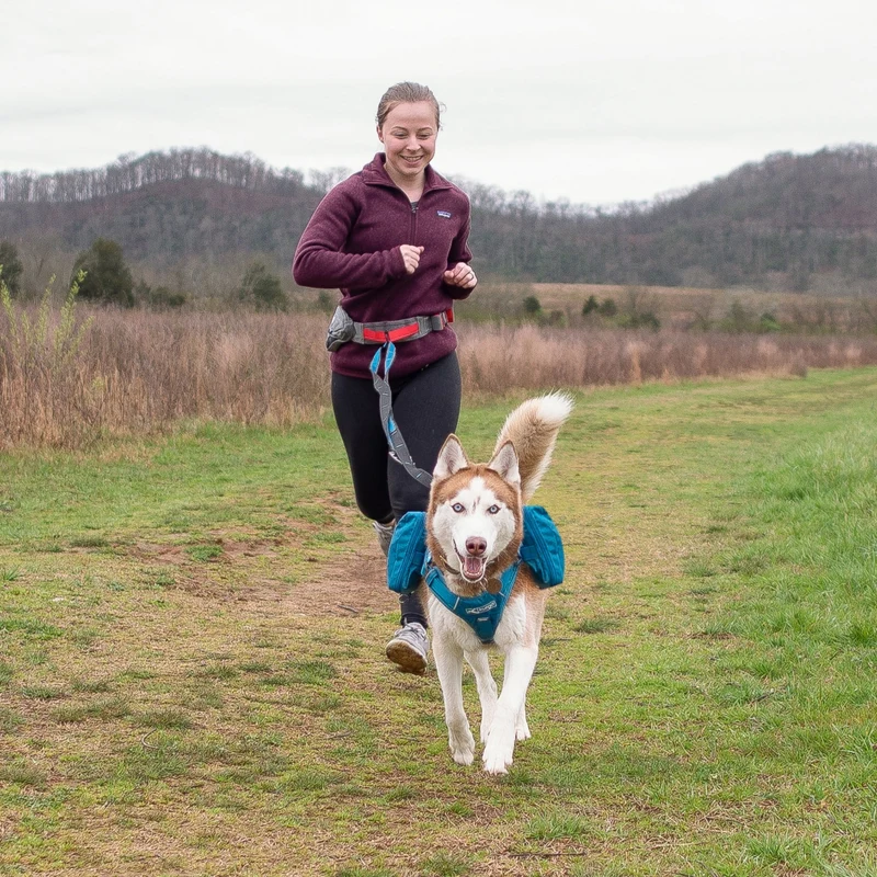 Kurgo Quantum Leash 6-in-1 Hundeleine – Vielseitige Premium-Leine für Training, Jogging & Freihandspaziergänge mit Hund