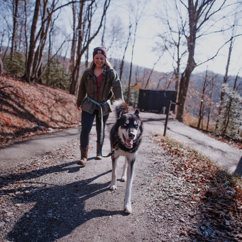 Kurgo Quantum Leash 6-in-1 Hundeleine – Vielseitige Premium-Leine für Training, Jogging & Freihandspaziergänge mit Hund