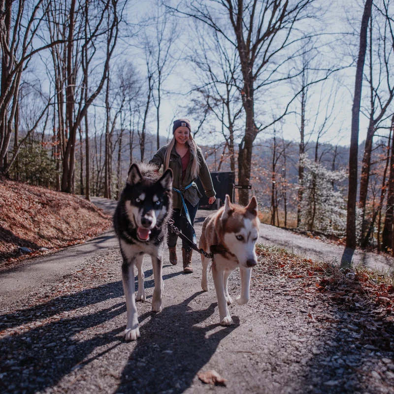 Kurgo Quantum Leash 6-in-1 Hundeleine – Vielseitige Premium-Leine für Training, Jogging & Freihandspaziergänge mit Hund