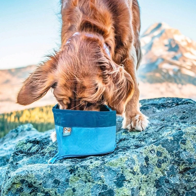 Kurgo Zippy Bowl – Faltbarer Hundenapf für unterwegs | Kompakt, Leicht & Auslaufsicher | Perfekt für Reisen, Wandern & Outdoor-Abenteuer