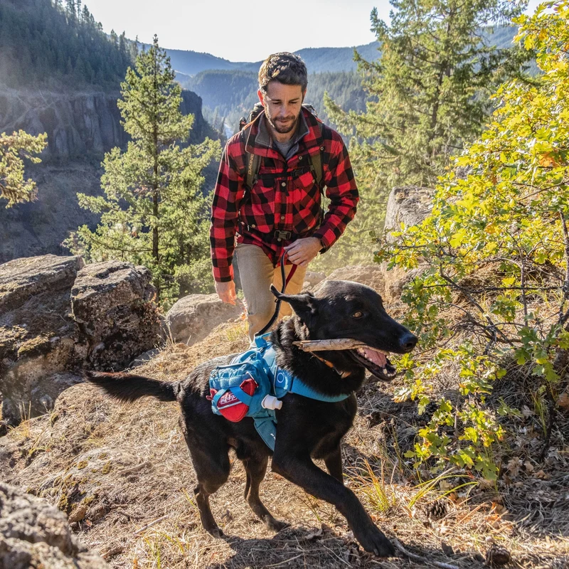 Kurgo Zippy Bowl – Faltbarer Hundenapf für unterwegs | Kompakt, Leicht & Auslaufsicher | Perfekt für Reisen, Wandern & Outdoor-Abenteuer