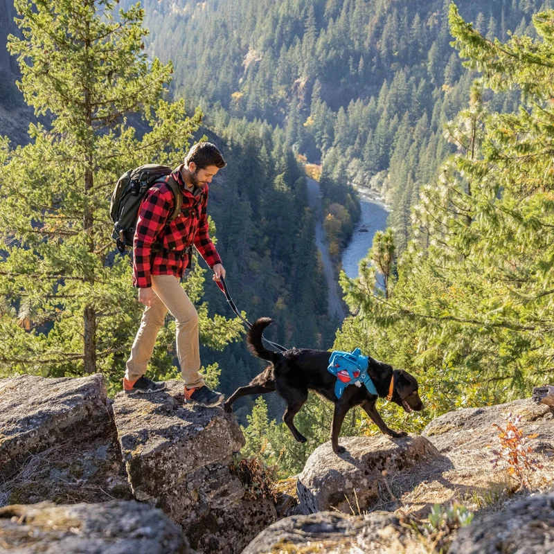 Kurgo Zippy Bowl – Faltbarer Hundenapf für unterwegs | Kompakt, Leicht & Auslaufsicher | Perfekt für Reisen, Wandern & Outdoor-Abenteuer