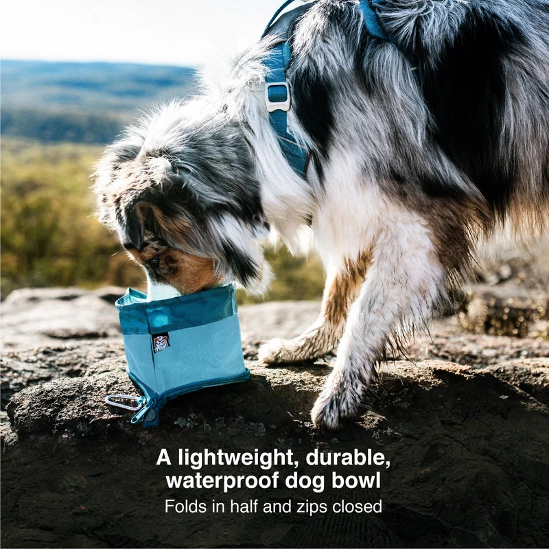 Kurgo Zippy Bowl – Faltbarer Hundenapf für unterwegs | Kompakt, Leicht & Auslaufsicher | Perfekt für Reisen, Wandern & Outdoor-Abenteuer