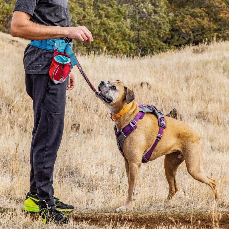 Kurgo Go Stuff It Leckerlibeutel – Praktische Belohnungstasche für effektives Hundetraining mit schnellem Zugriff und sicherem Verschluss