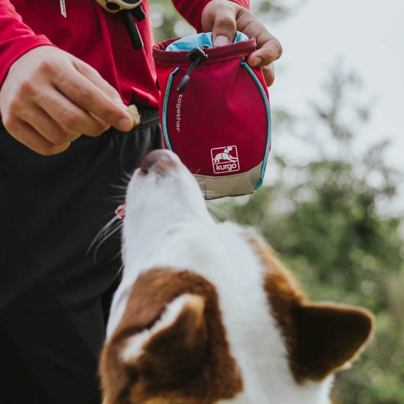 Kurgo Go Stuff It Leckerlibeutel – Praktische Belohnungstasche für effektives Hundetraining mit schnellem Zugriff und sicherem Verschluss