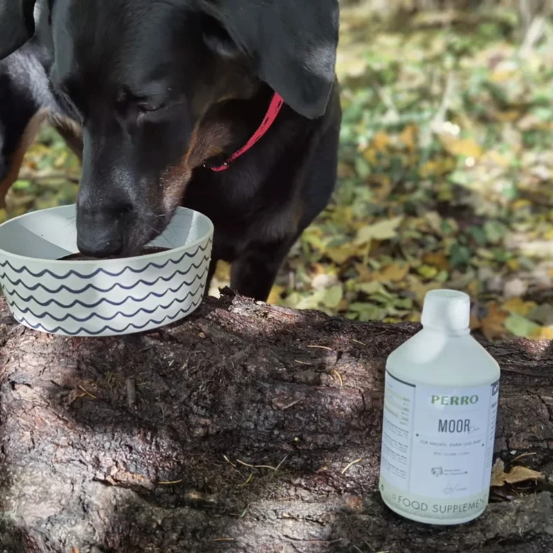 Perro Moor Pur – Natürliches Naturmoor bei Magen-Darm-Problemen, Verdauungsstörungen & Fellwechsel für Hunde