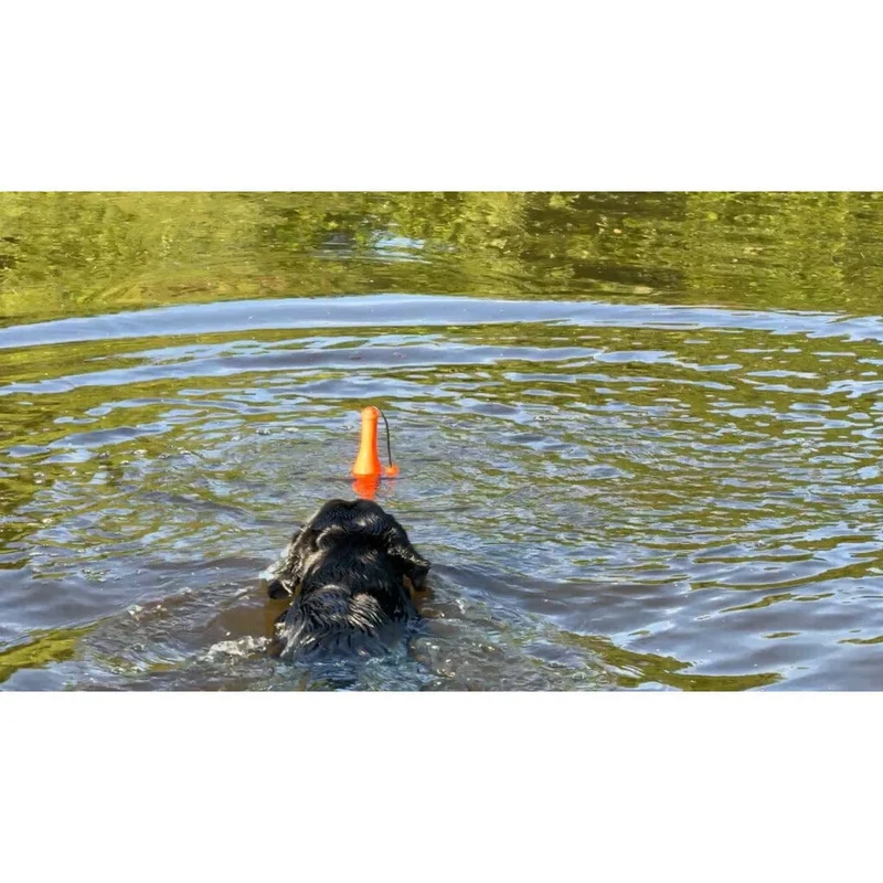 Dog Comets | Bobber
