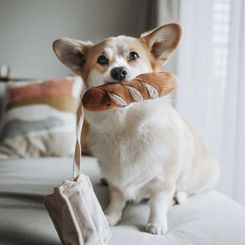 Lambwolf | Schnüffelspielzeug Baguette