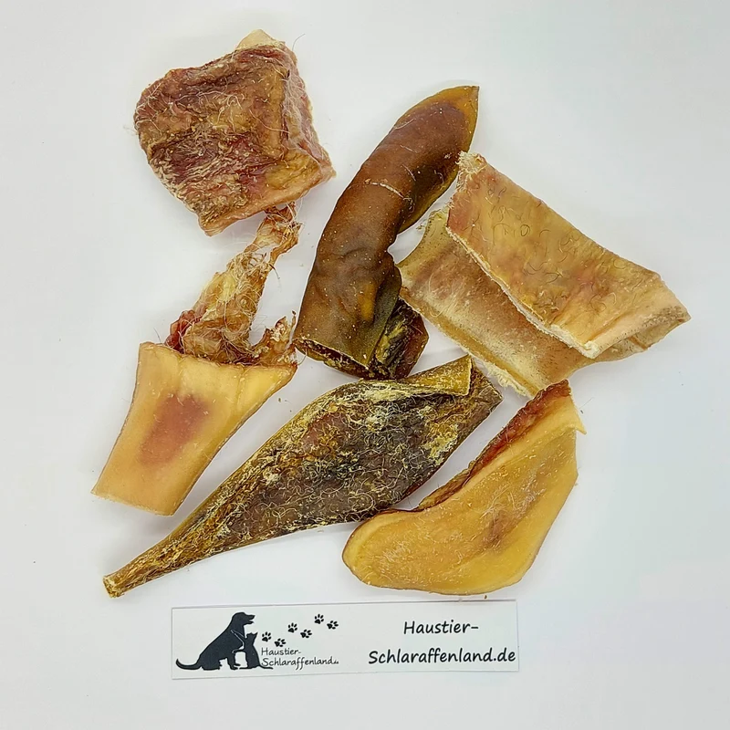 Rinder-Kopfhaut, Abschnitte