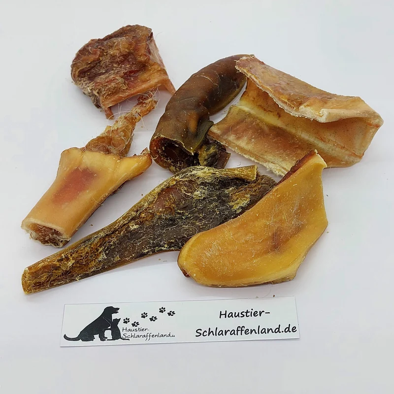 Rinder-Kopfhaut, Abschnitte