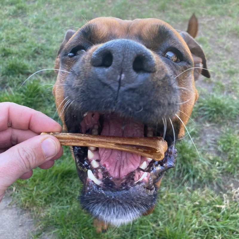 Ochsenziemer Abschnitte