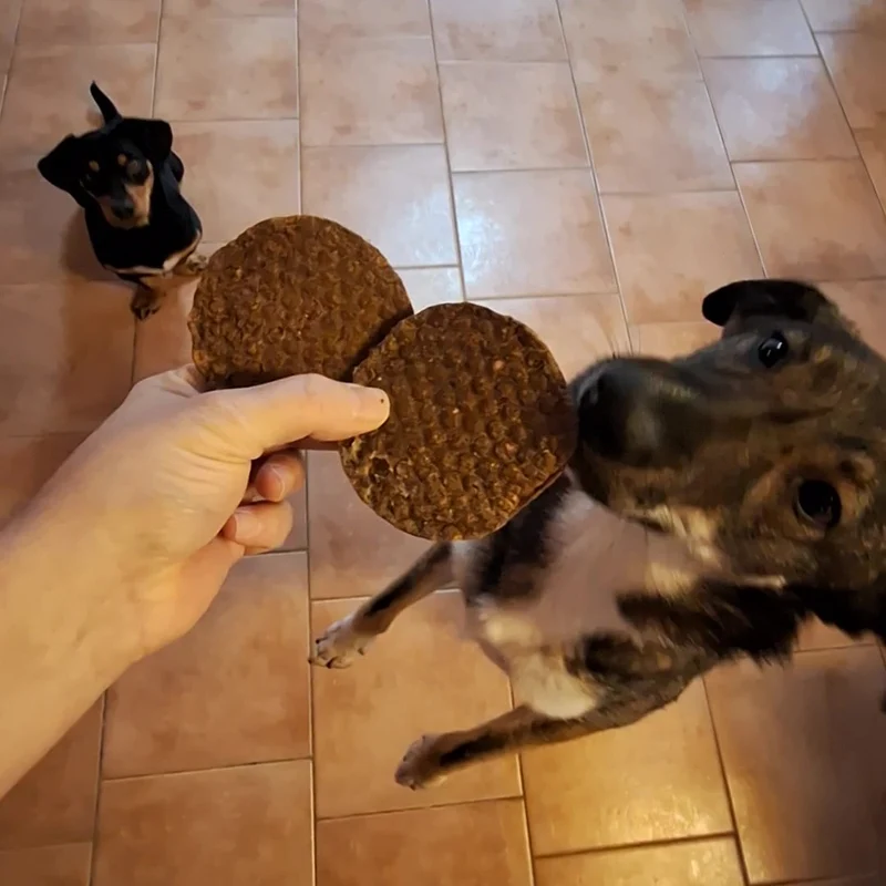 Hühner-Burger