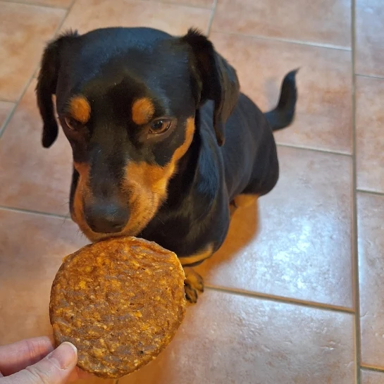 Hühner-Burger